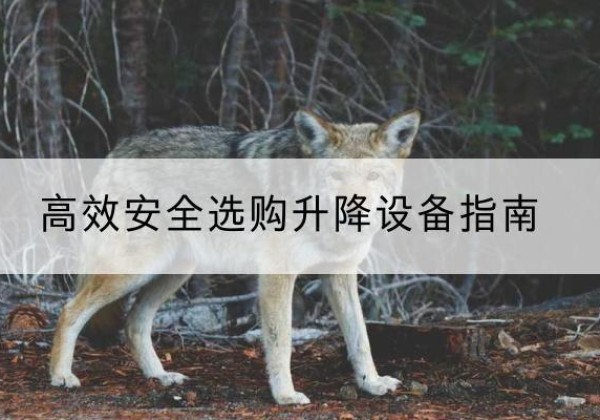 小金升降货梯厂家推荐-*安全选购升降设备指南