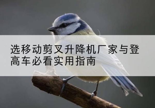 小金电动升降机厂家-选移动剪叉升降机厂家与登高车必看实用指南