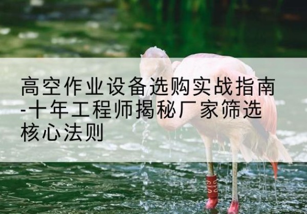 小金剪叉式升降机厂家-高空作业设备选购实战指南-十年工程师揭秘厂家筛选核心法则